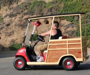 Read more about the article Essential Golf Cart Accessories