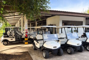 Read more about the article Make the Most of Your Golf Cart Service Department Visit